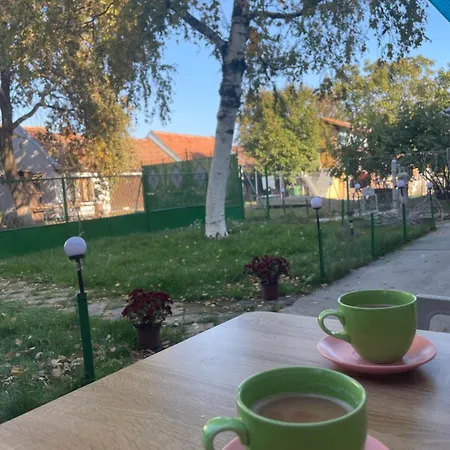 Srpska Crnja Home Holiday home *